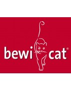 Bewicat